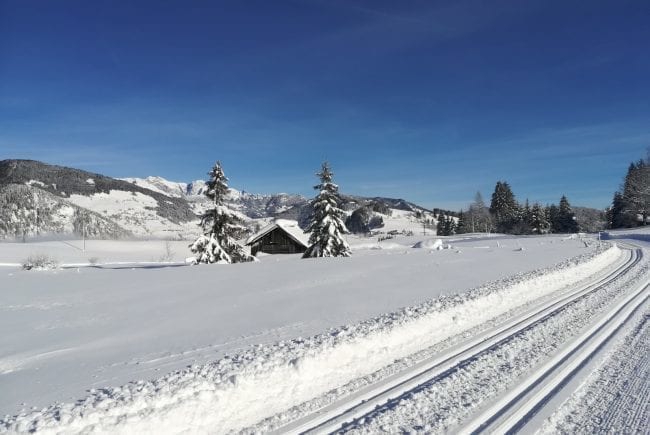 Winter idyll on the Embach high-altitude trail
